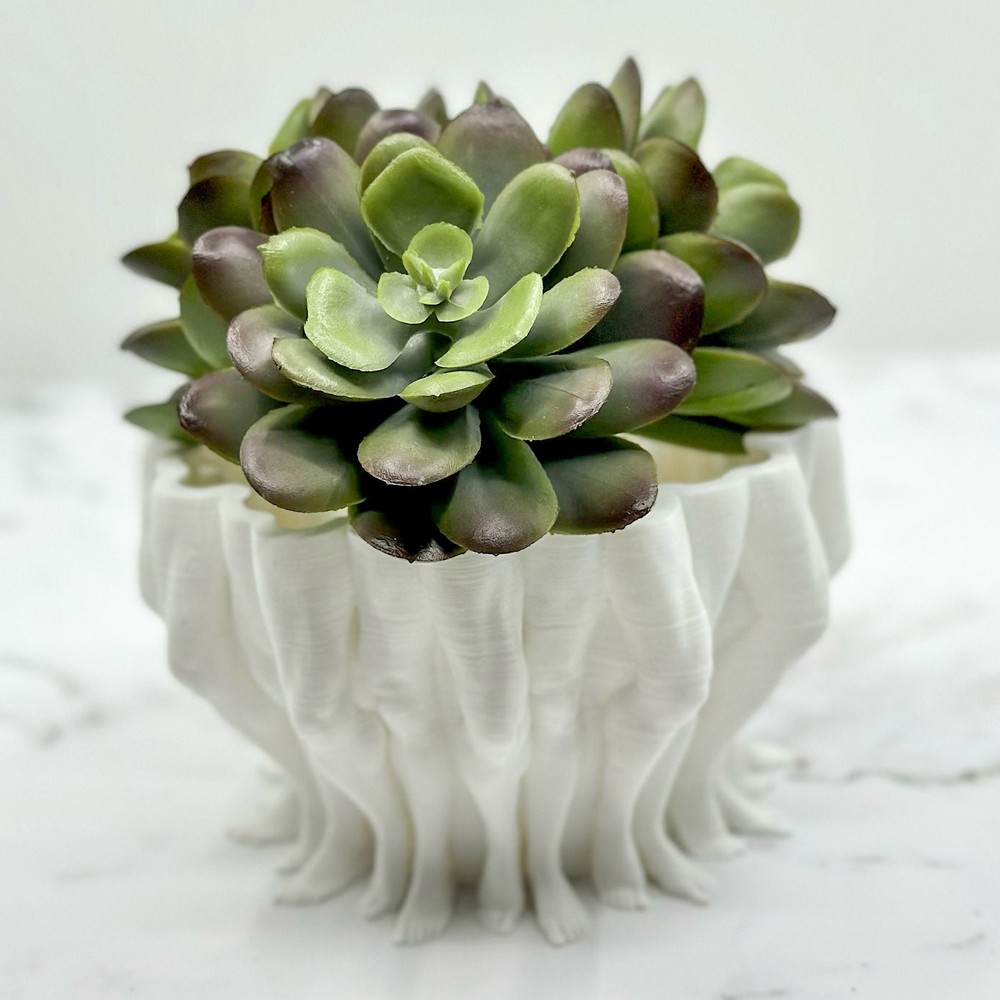 Legs Succulent and Cactus Planter Pot