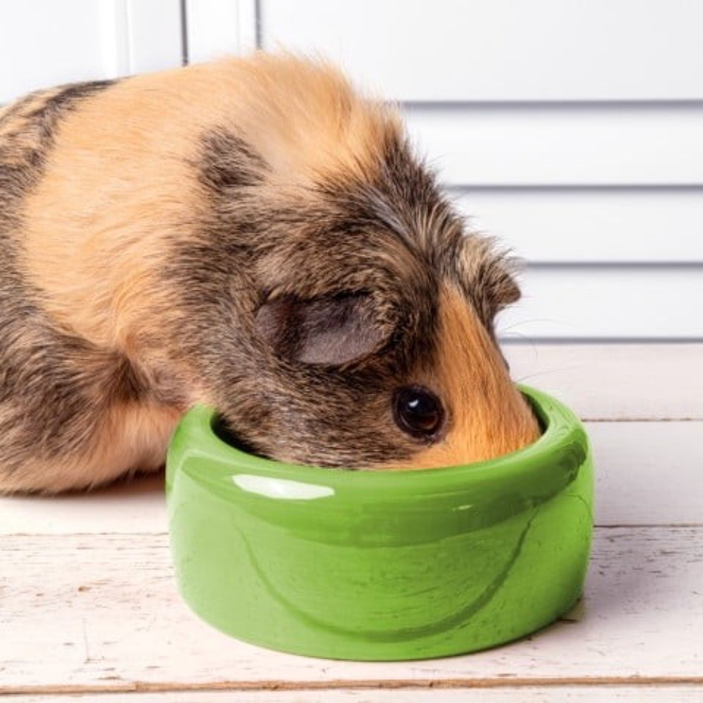 Vitakraft Menu Premium Guinea Pig Food 4Lb