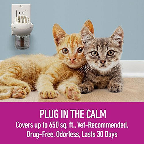 Calming Diffuser Kit for Multicat Conflict & Tension by Comfort Zone - Plastic