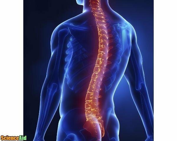 SpinaTrack. A simple tool for a better back