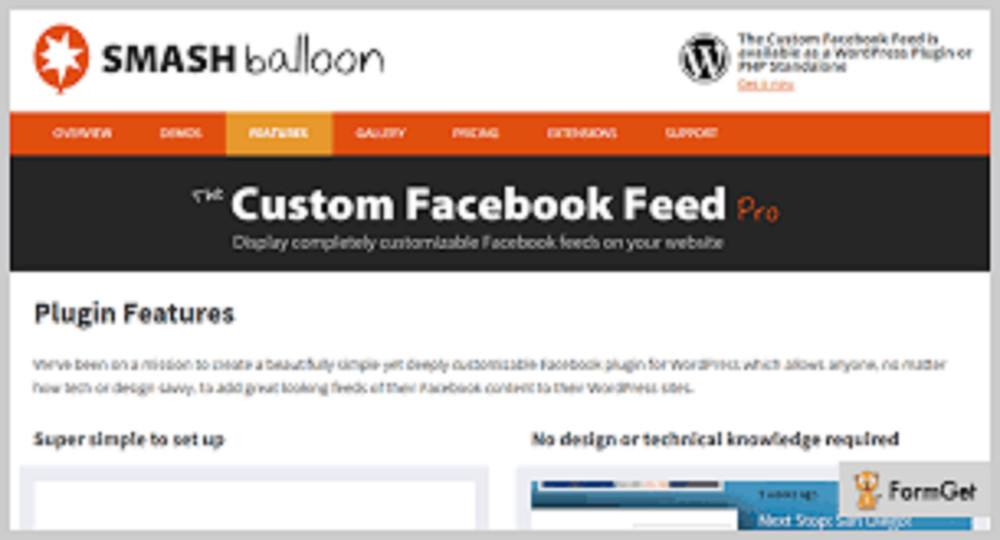 The Custom Facebook Feed Pro (+ All Extensions)