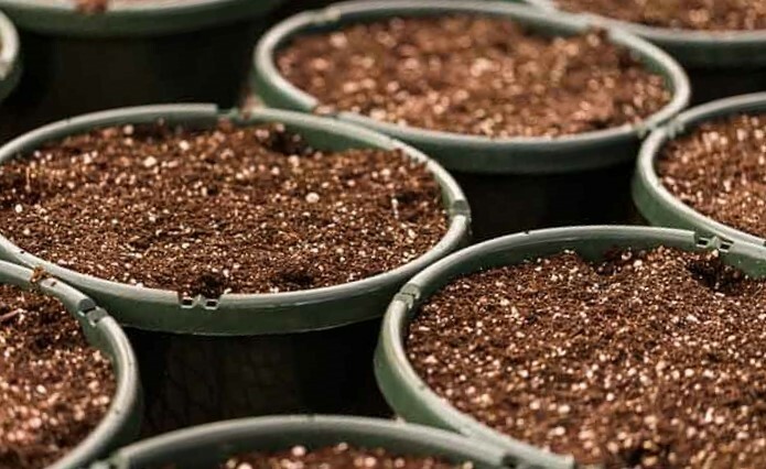 COCO PEAT 100% NATURAL ORGANIC COMPOST HYDROPONIC GROWING MEDIA 400g