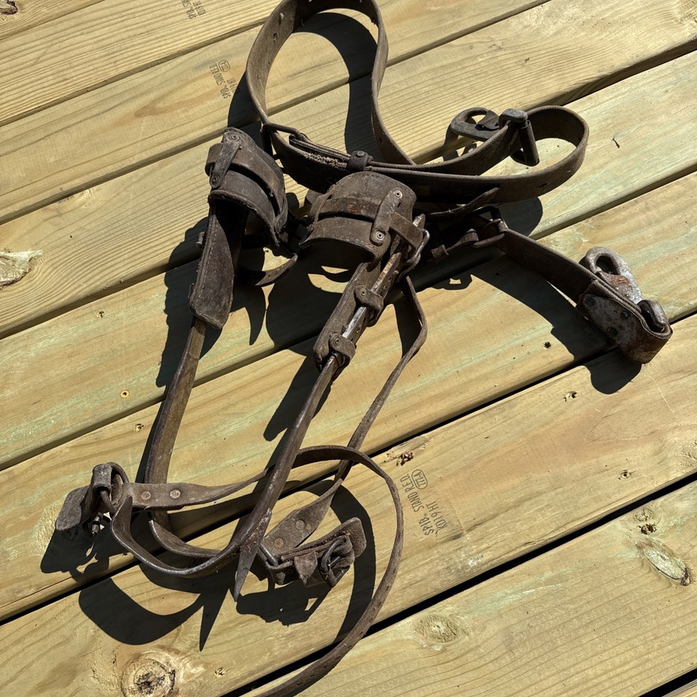 Vintage Pair BUCKINGHAM Climbing Spikes/ Lineman Pole-Tree