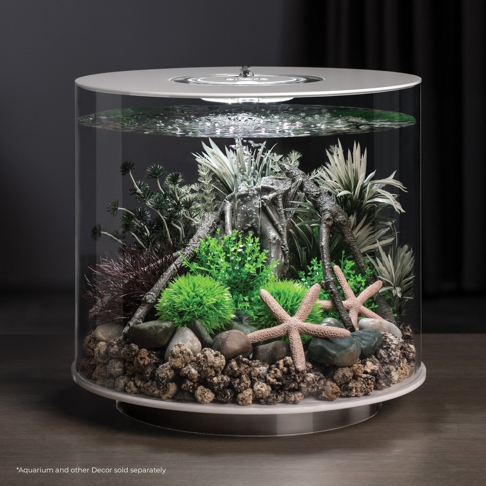 Elements Aquarium Decorative