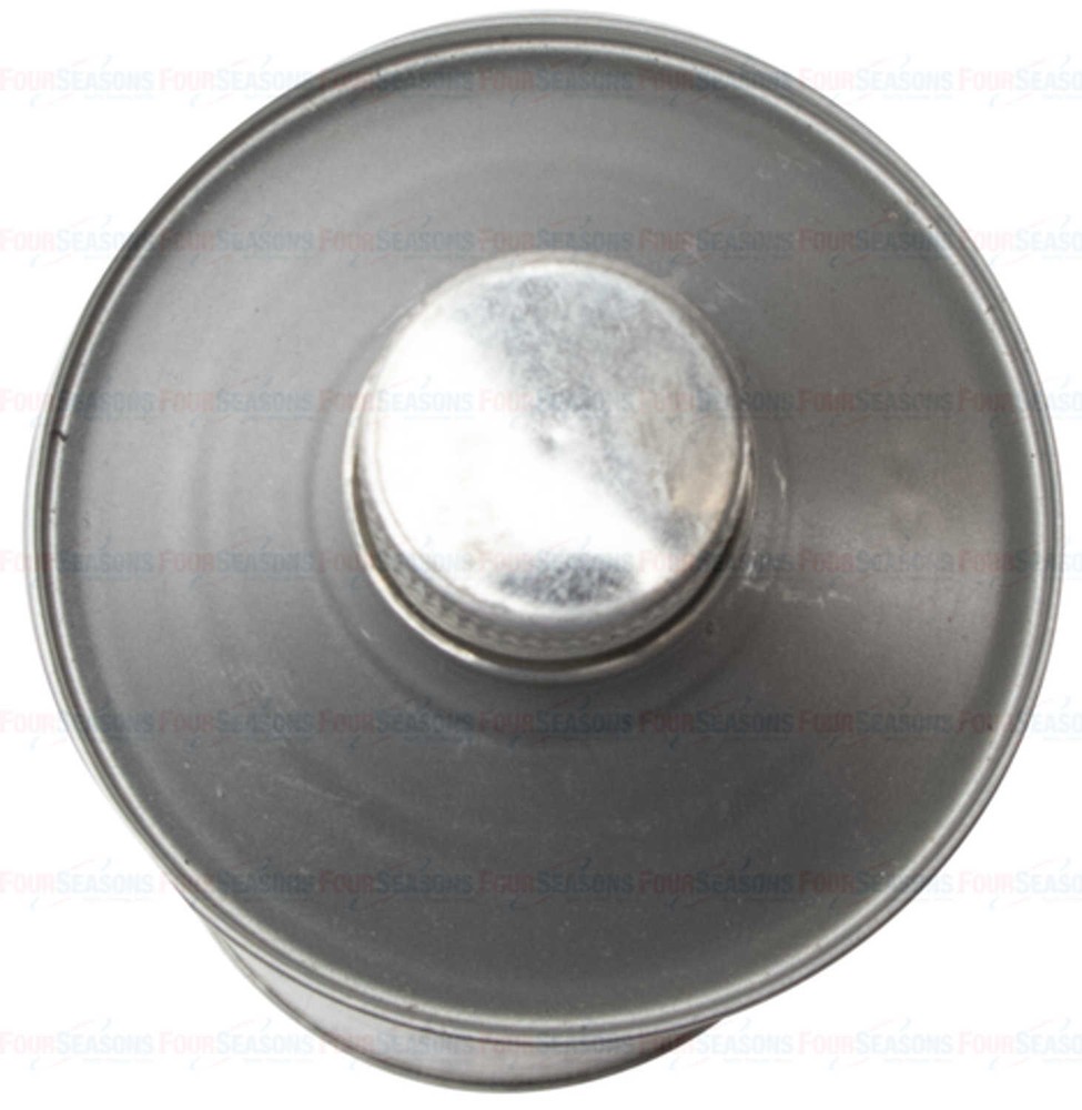 Flushing Solvent Four Seasons 69991