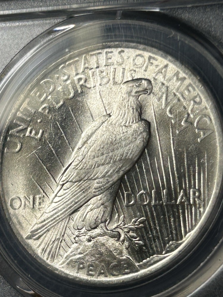 1924 PCGS MS64 PEACE DOLLAR CAC