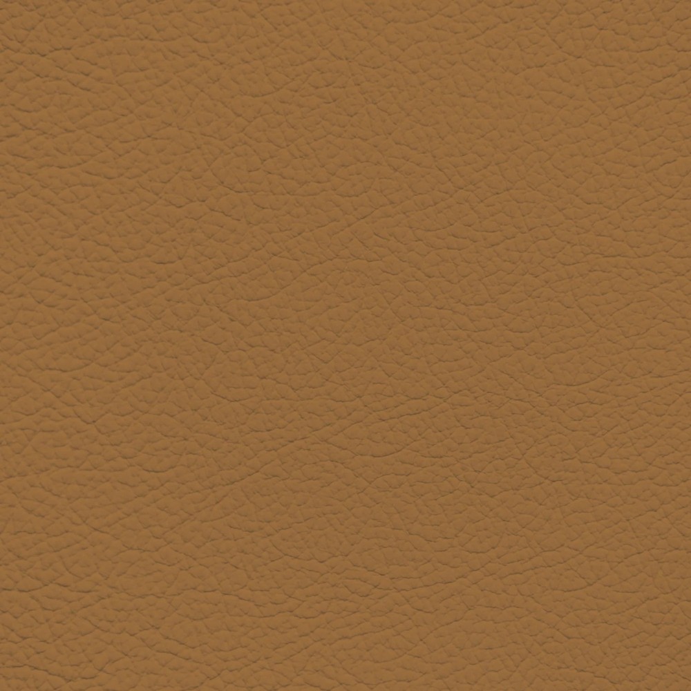 Jaguar Tan Leather Dye