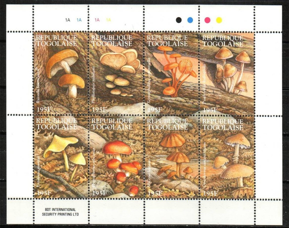 Togo Stamp 1672  - Mushrooms
