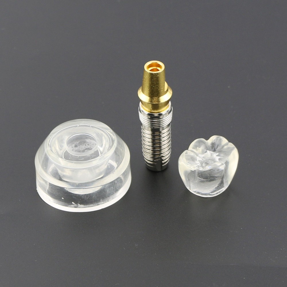 Dental Teaching Detachable Study Crown Implant Demonstration Teach Model #2020