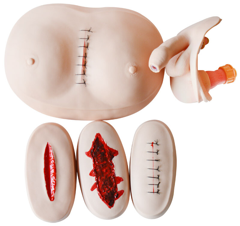 Patient Care Manikin Model Advanced Multifunctional Study Training Mannequin