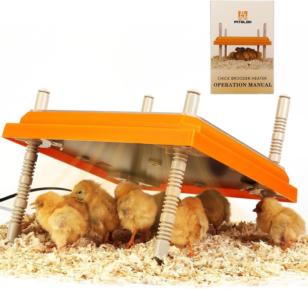 Brooder Heater for Chicks: Chick Brooder Heating Plate with Easy- Cleaning Pl...