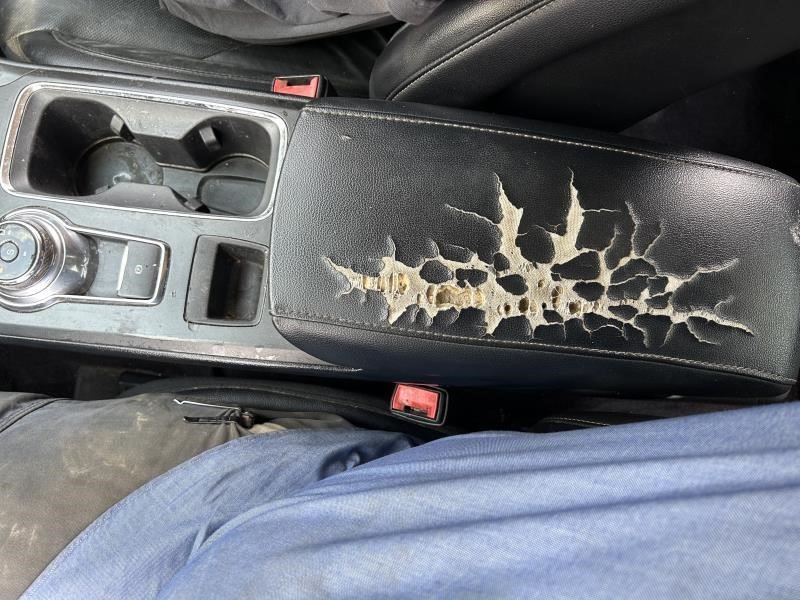 FUSION 2017 High Mounted Stop Light 104591175