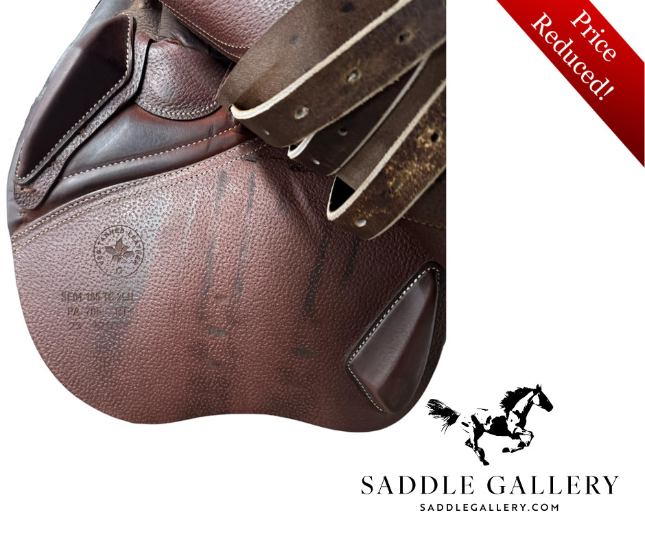 CWD • SE01 • 16.5”