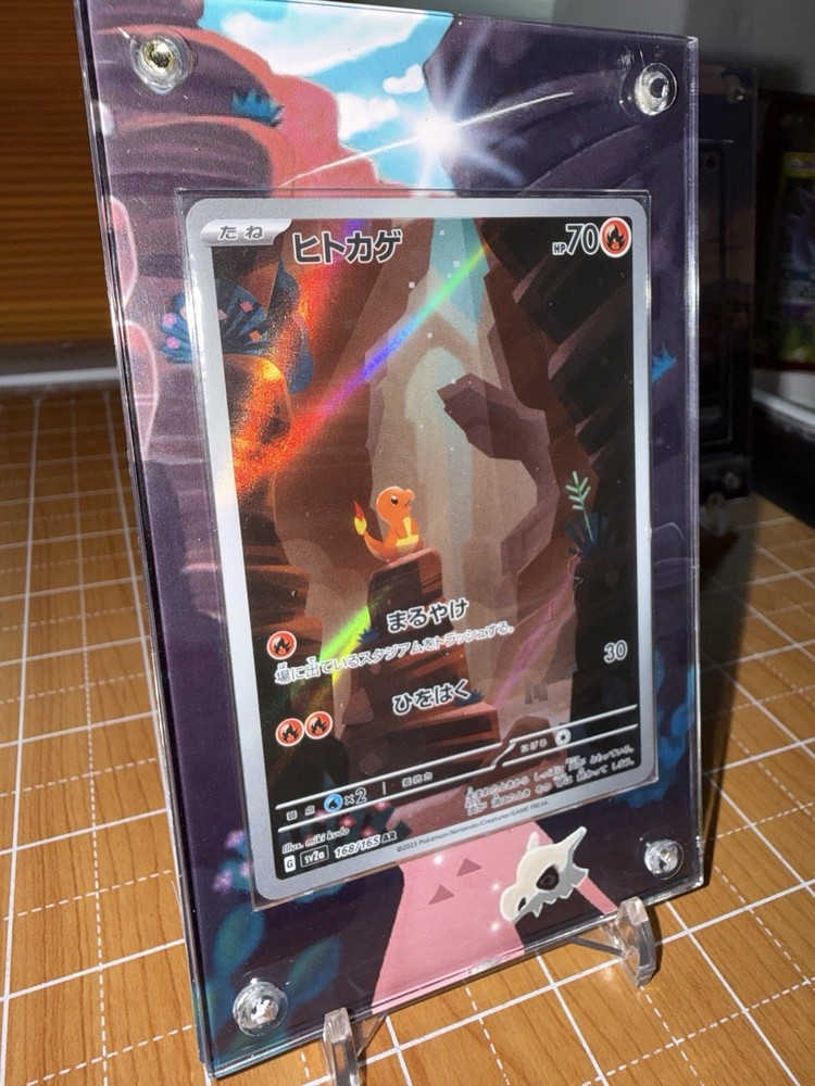 Pokemon Charizard EX SIR/ Charmeleon/ Charmander 151 Extended Artwork Cases