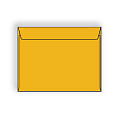 Roptex� Brown Kraft Booklet Envelope, 10" x 15"