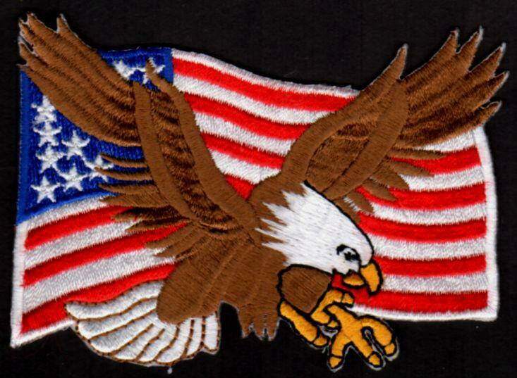 👀😍😜👌 Awesome US Flag Patch Flying Bald Eagle