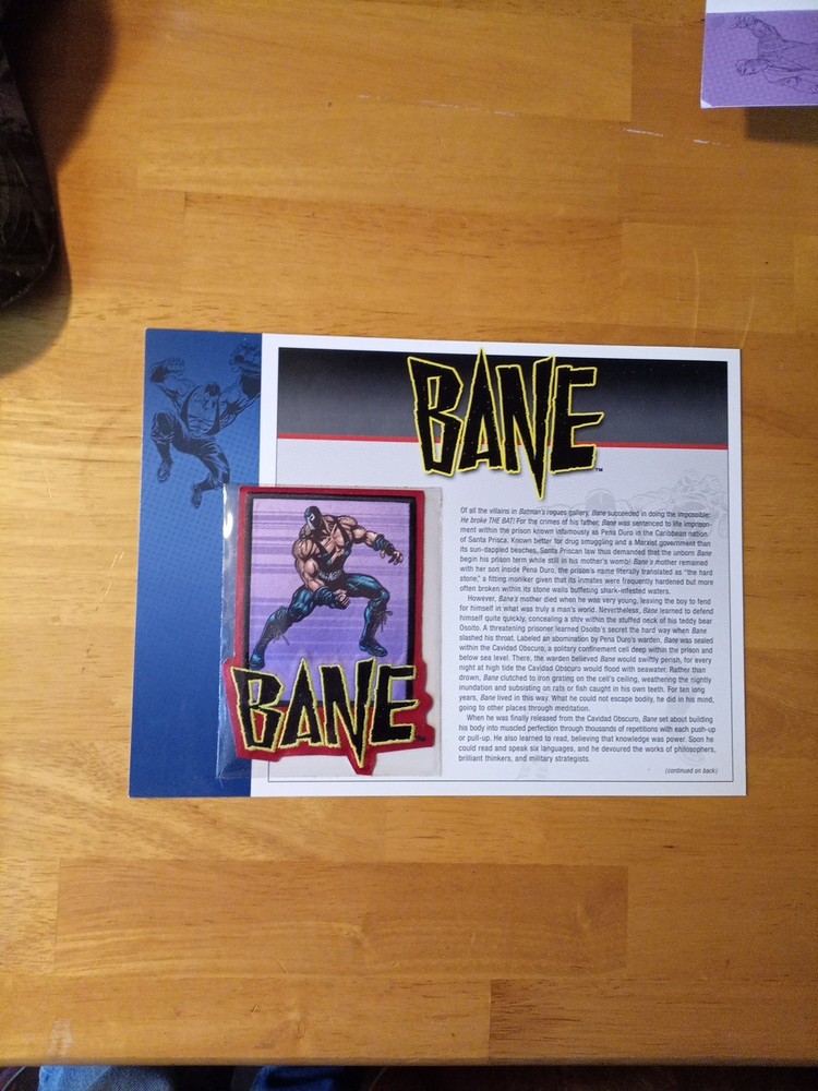 Ward And Willabee DC Comics Bane Iron On  Patch