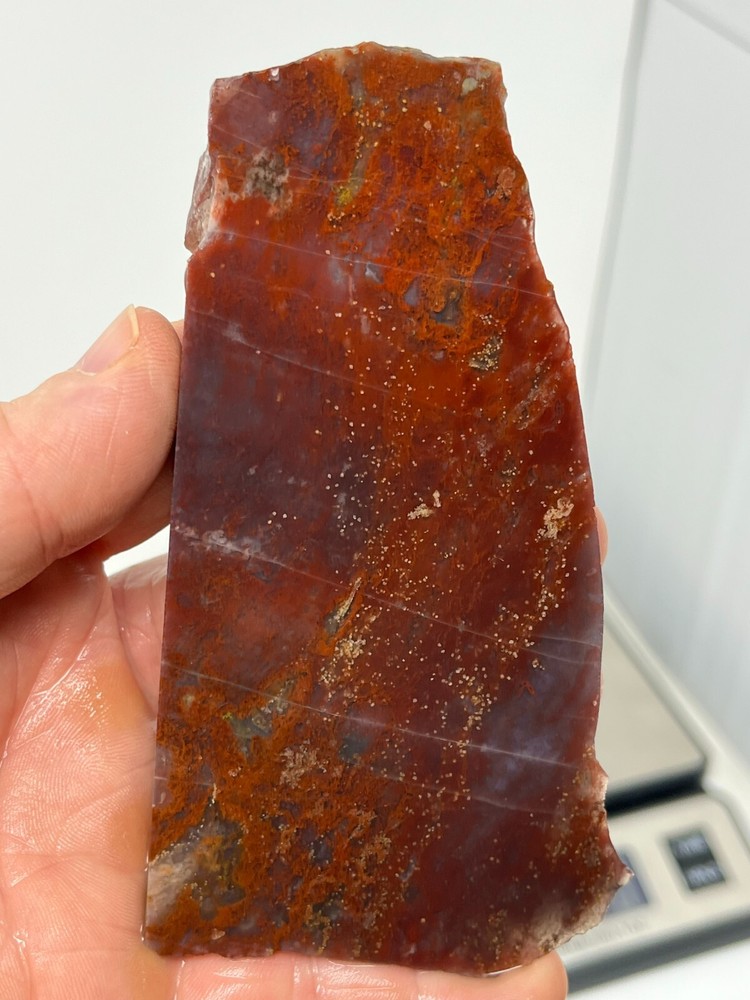 Mexican Cathedral Raspberry Agate Slab Cabbing Lapidary Combo Ship Avail