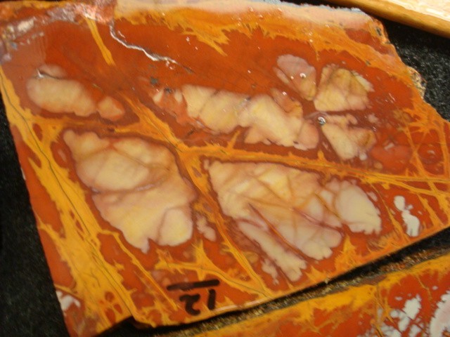 noreena jasper 4 slabs