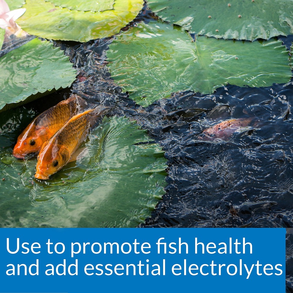 API POND SALT Pond Water Salt 4.4-Pound Container (156C) 1