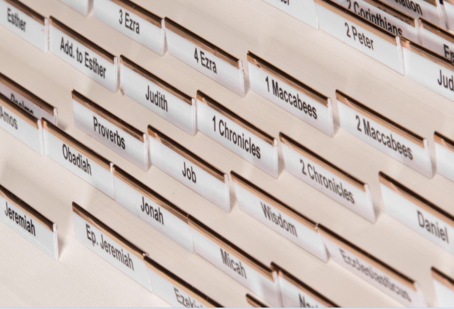 Cepher Package Deal - Softbound