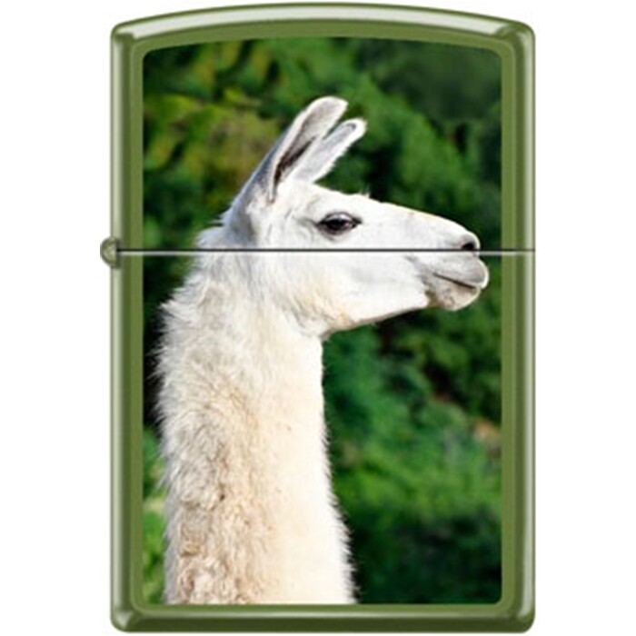 Llama Face Moss Green Zippo Lighter