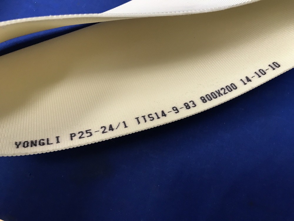 800MM X 200MM ENDLESS FEED BELT for Checkweigher
