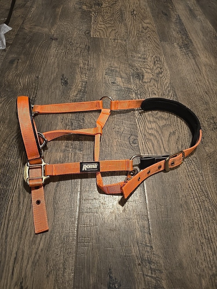 Horse Halter