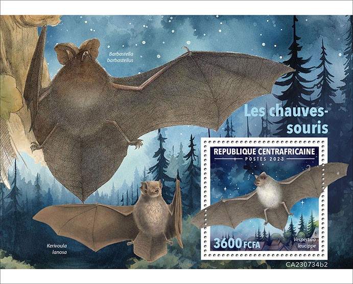 Bats