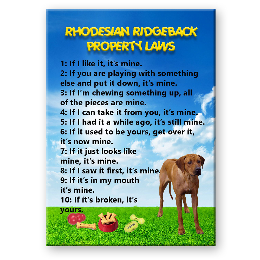 RHODESIAN RIDGEBACK Property Laws FRIDGE MAGNET New DOG