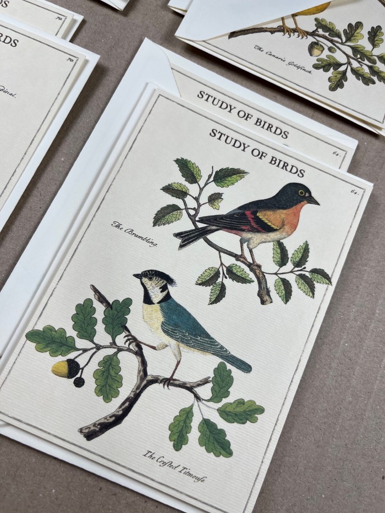 Cavallini & Co. Birds Stationery Set