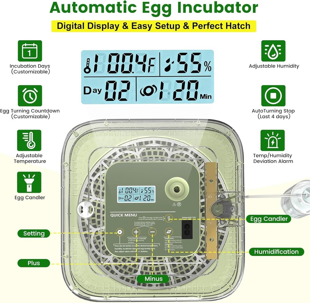 12 Egg Incubator with Automatic Turning Auto Water Refill & Green
