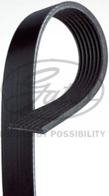 K070701 V-Ribbed Belt