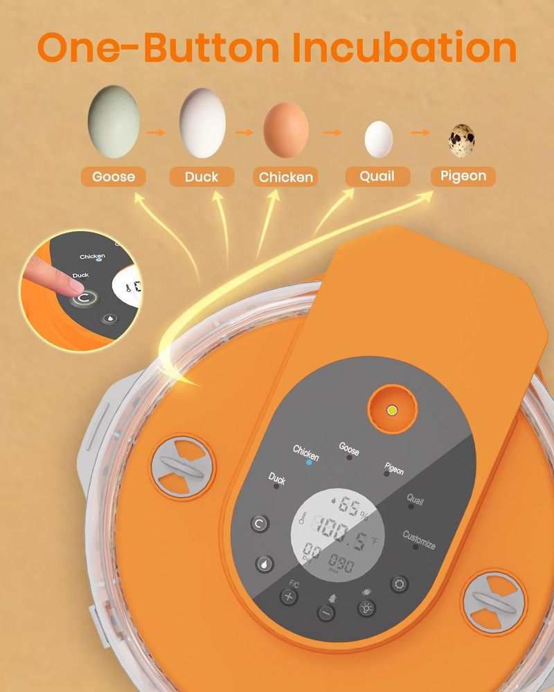 Incubators for Hatching Eggs,15 Egg Incubator with Automatic Egg Turner,Temperat