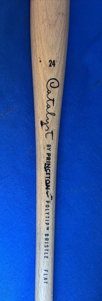 Princeton Catalyst Polytip Flat 24 Artist Brush