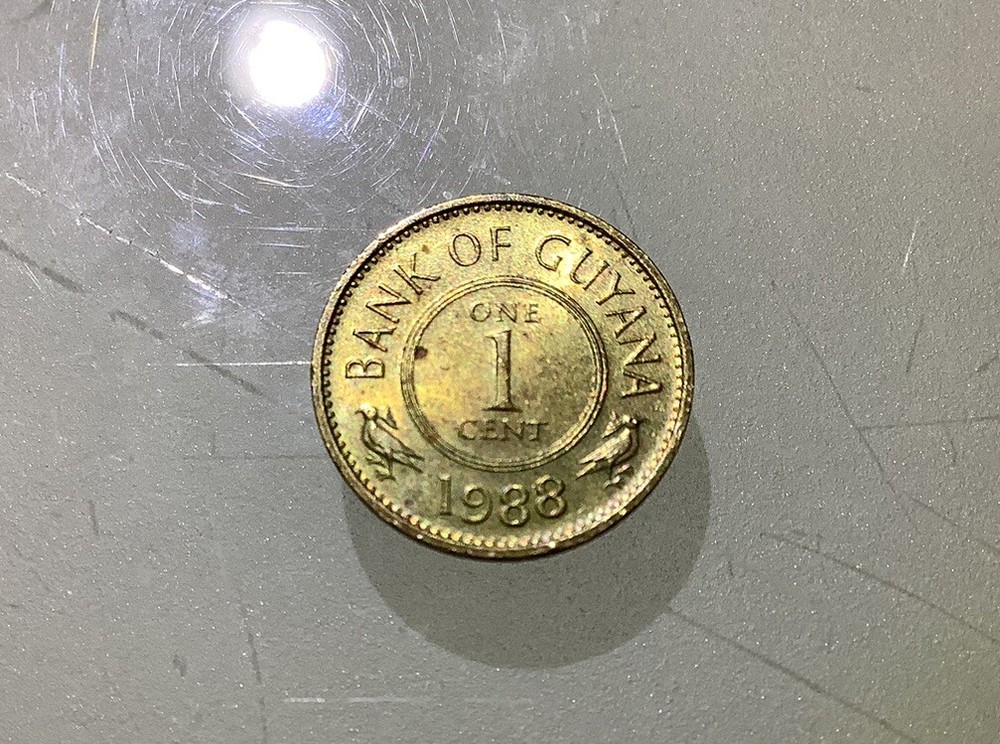 Guyana 1 Cent 1988 Circulated