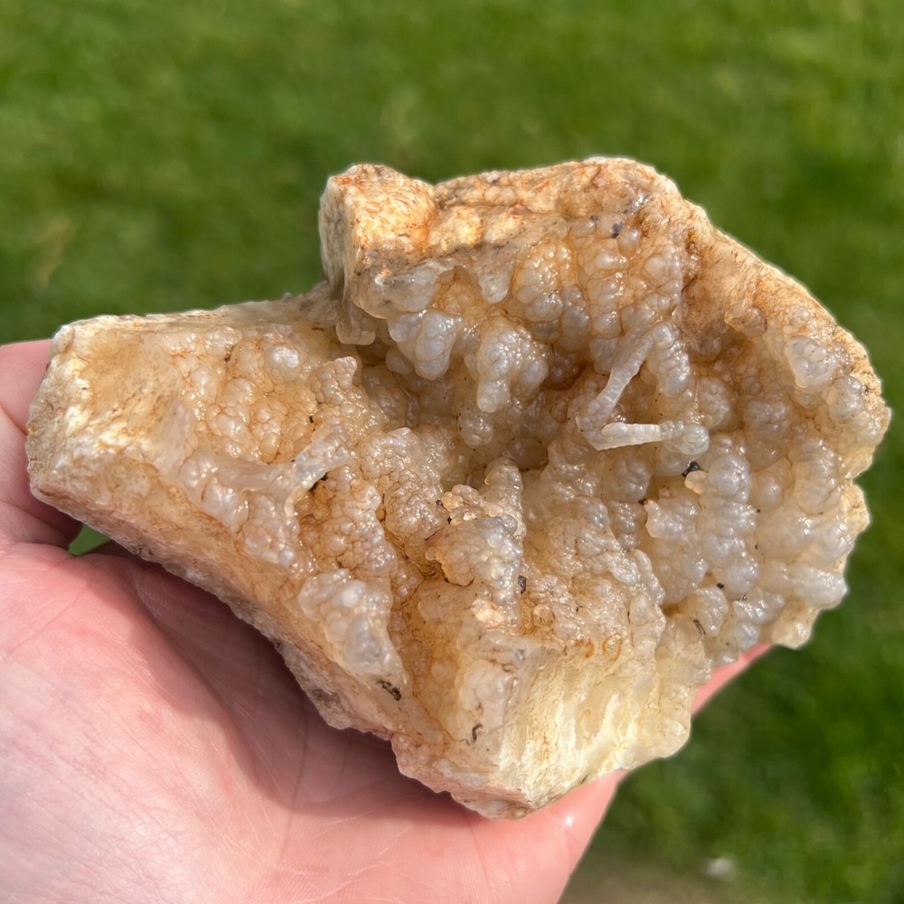 Succor Creek Botryoidal Agate Specimen 658gm (Y2)