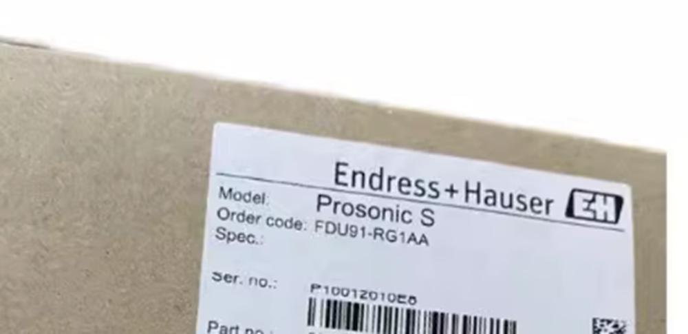 NEW FDU91-RG1AA E+H Sensor