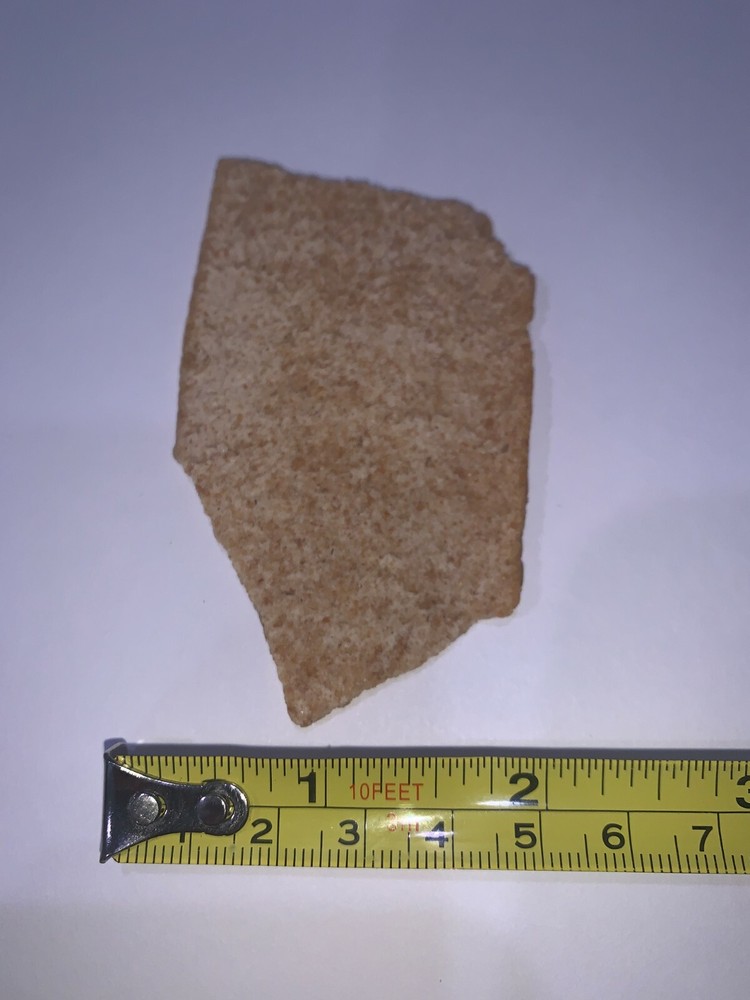 Unique Wheat Thin Assorted States of the U.S.A.