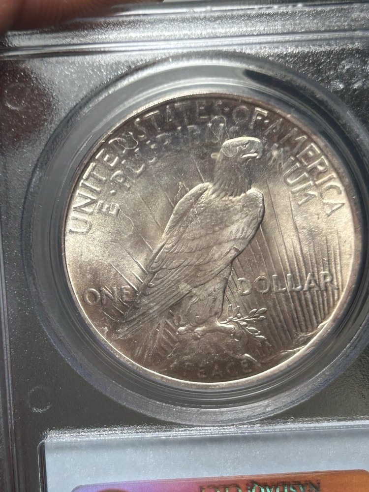 1923 $1 Peace Silver Dollar PCGS MS 64 CAC Older Solid Blue Label
