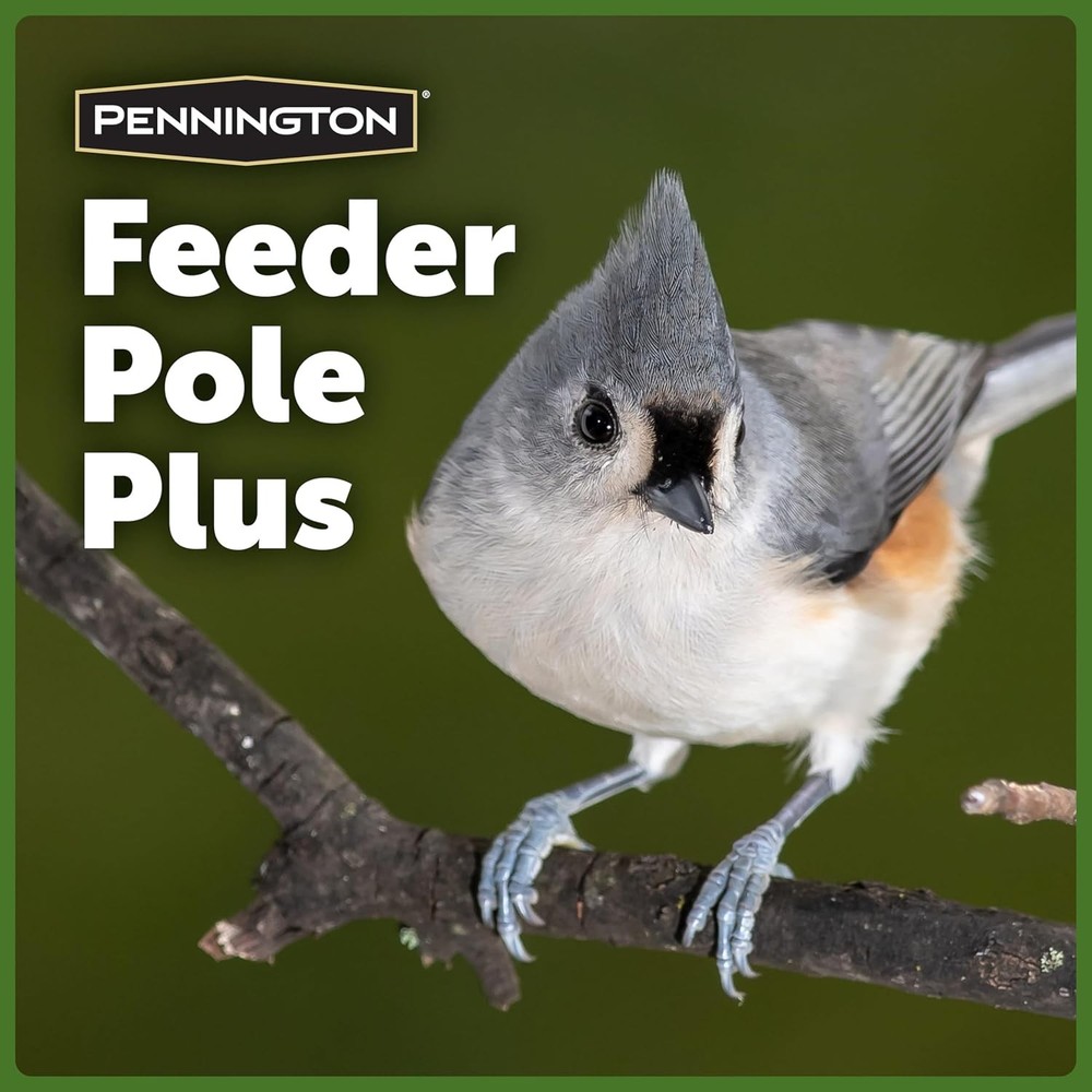Pennington Feeder Pole Plus Bird Black 5 ft