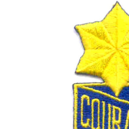 53rd Infantry Regiment Patch Courage Sanspeur