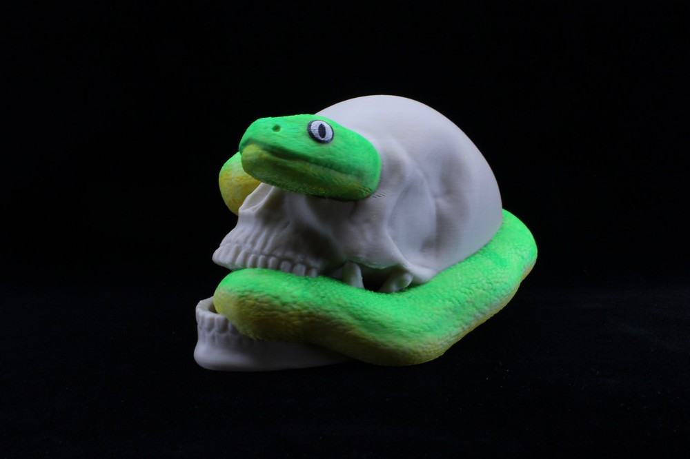 A 3D Printed Skull with Snake Crawling Through It (Hand Painted)