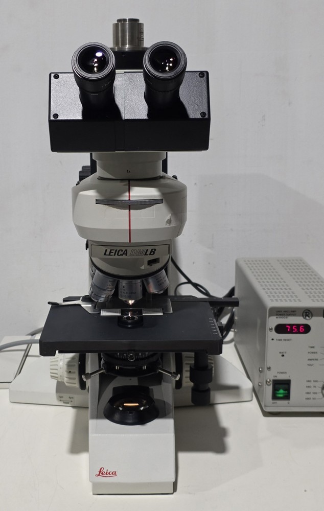 Leica DMLB Fluorescence Microscope DM LB