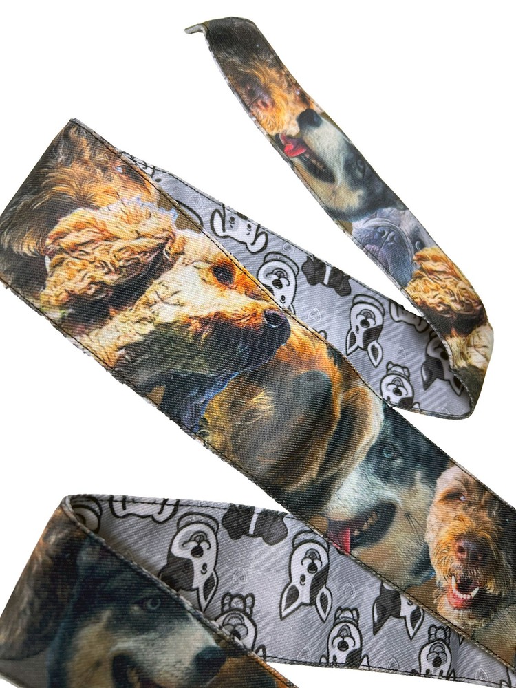 Toxic Performance Headband - Dogs