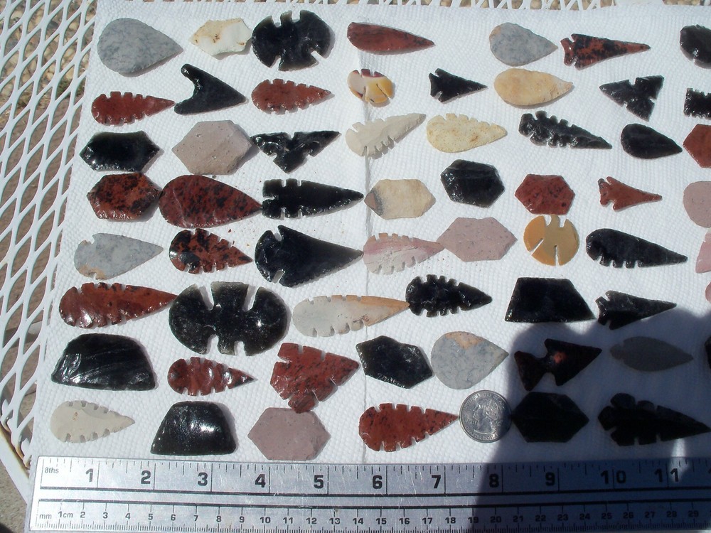 5 exotic Arrowheads per lot.
