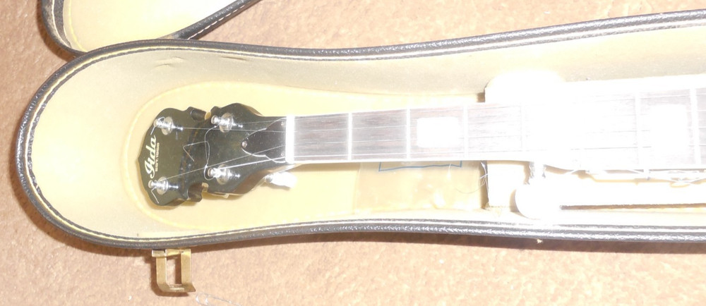 Aida 5-String Banjo in Case