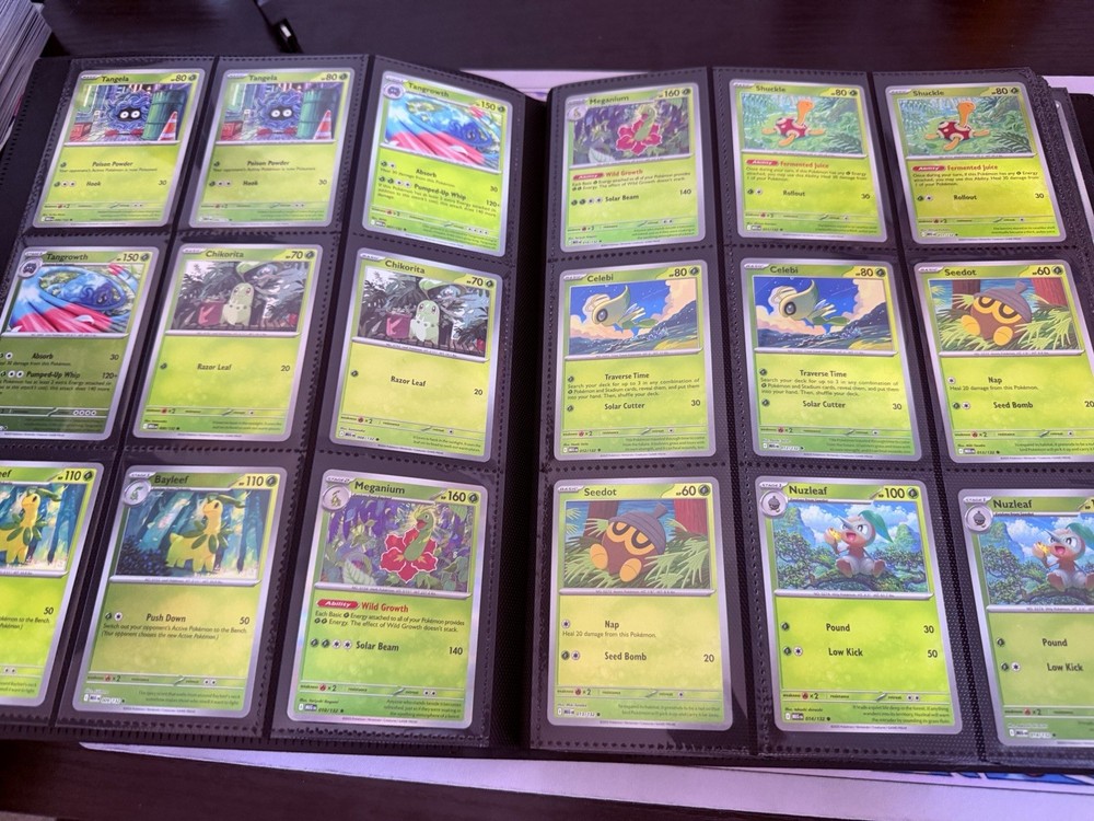 Mega Evolution 100% Complete Master Base Set with C/UC/H/RH & EXs