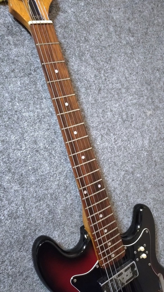 VISION VEG-120 (no260212)