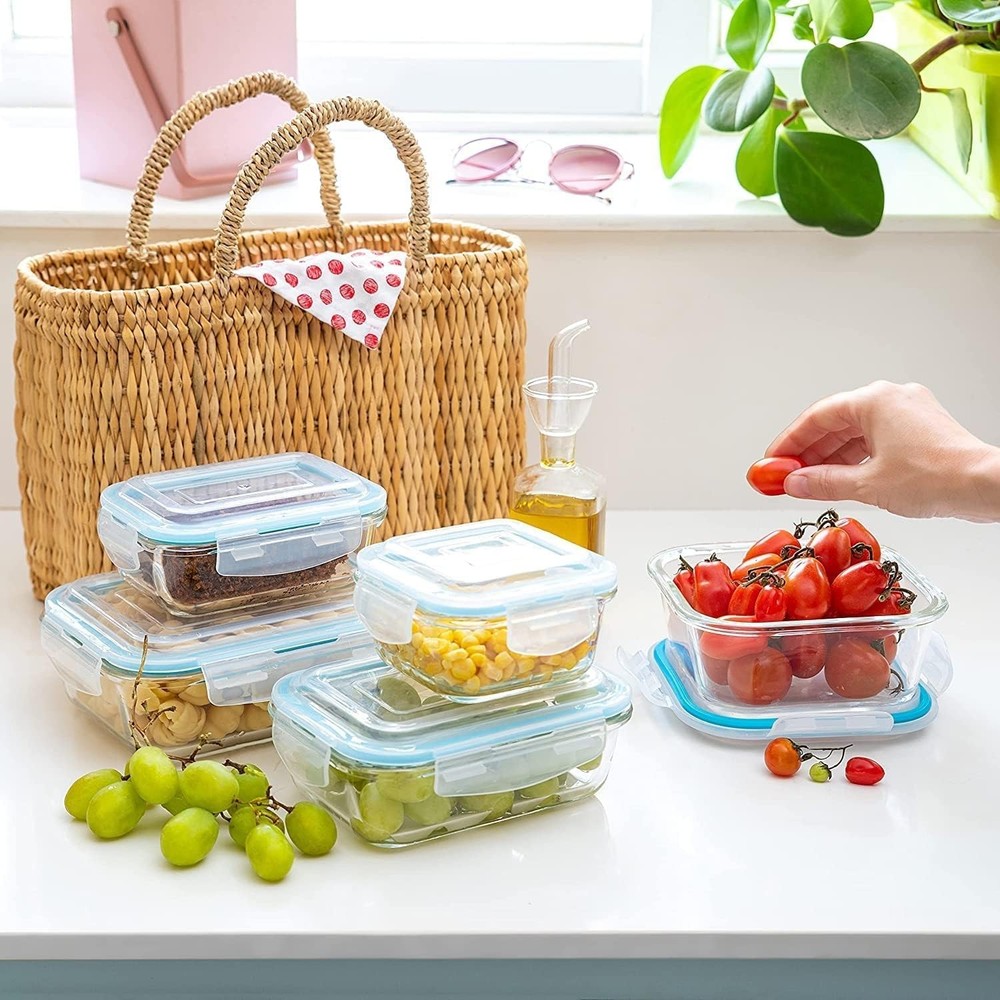 Moss & Stone 5 Glass Containers + 5 Lids – Multi-Size Set, Clear